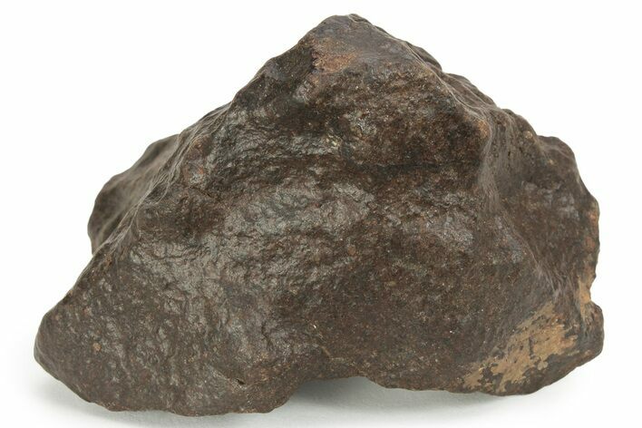 Chondrite Meteorite ( g) - Western Sahara Desert #232954
